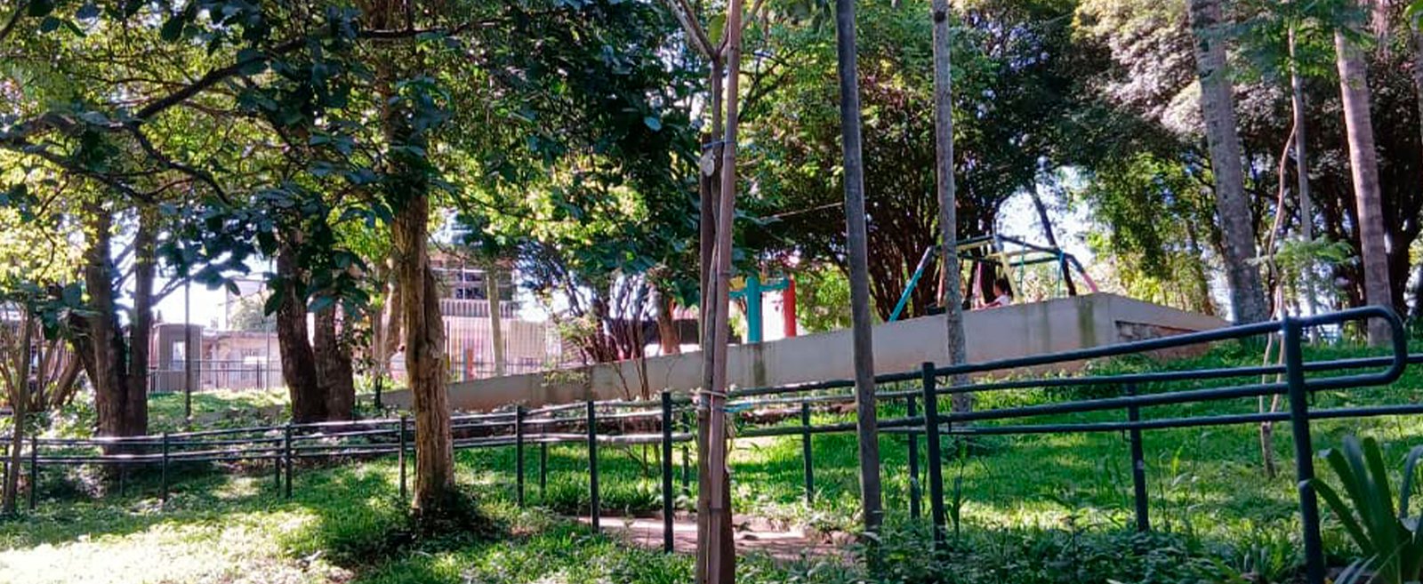 Reflorestamento-em-Parques-Paulistanos